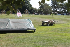 IMG_7140-Copy